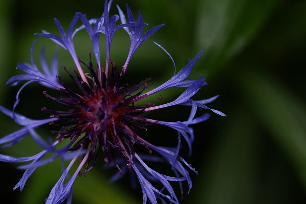 Photograph by Елена Одынец