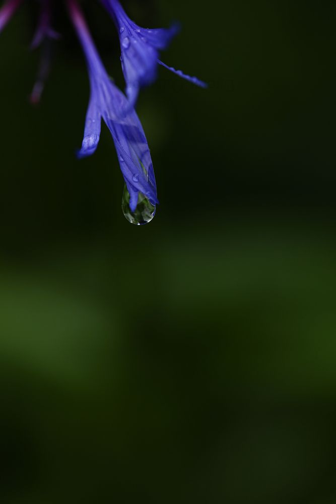 Photograph by Елена Одынец