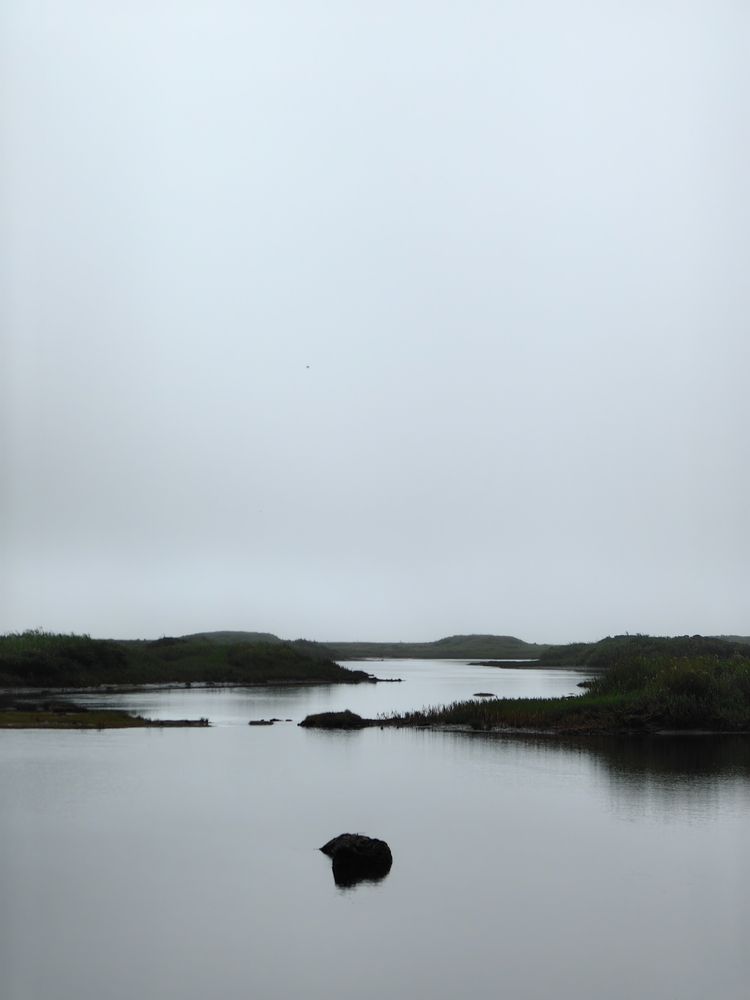 Photograph by Олеся Николаевна