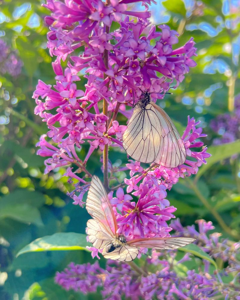 Photograph by Татьяна Волохова