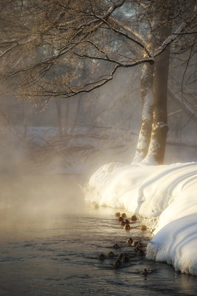 Photograph by Leanid Kulpo