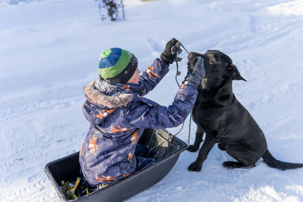Photograph by Людмила Щепилова