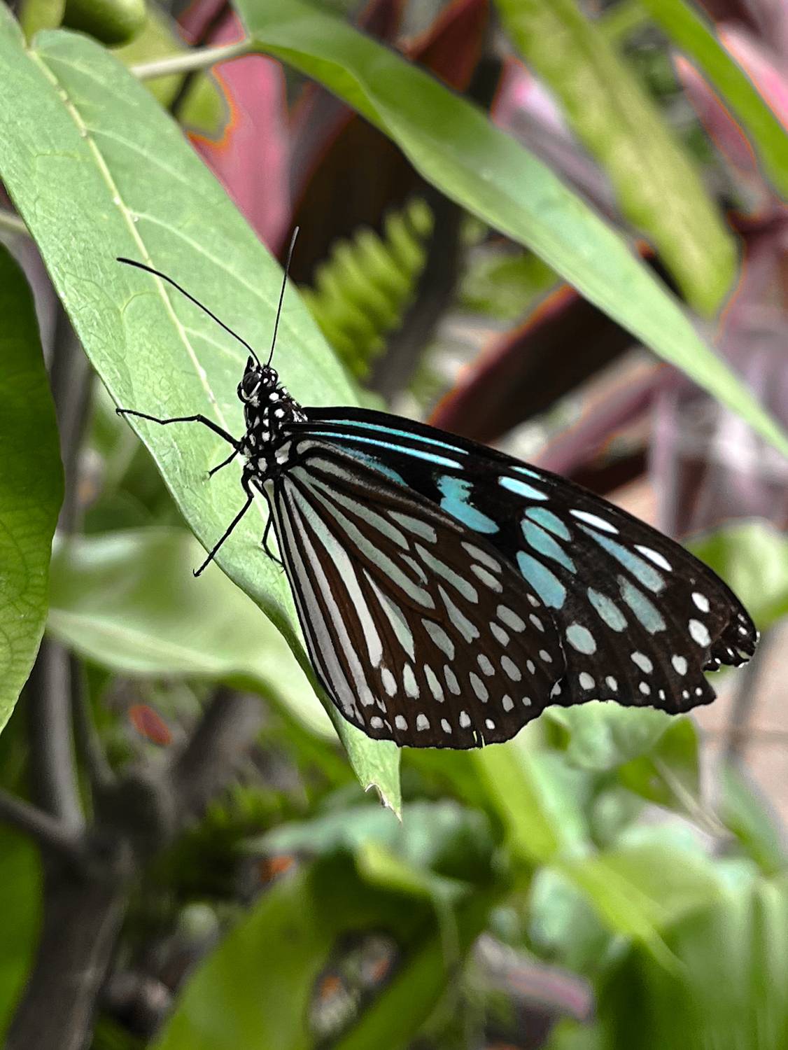 Фотография #13176881