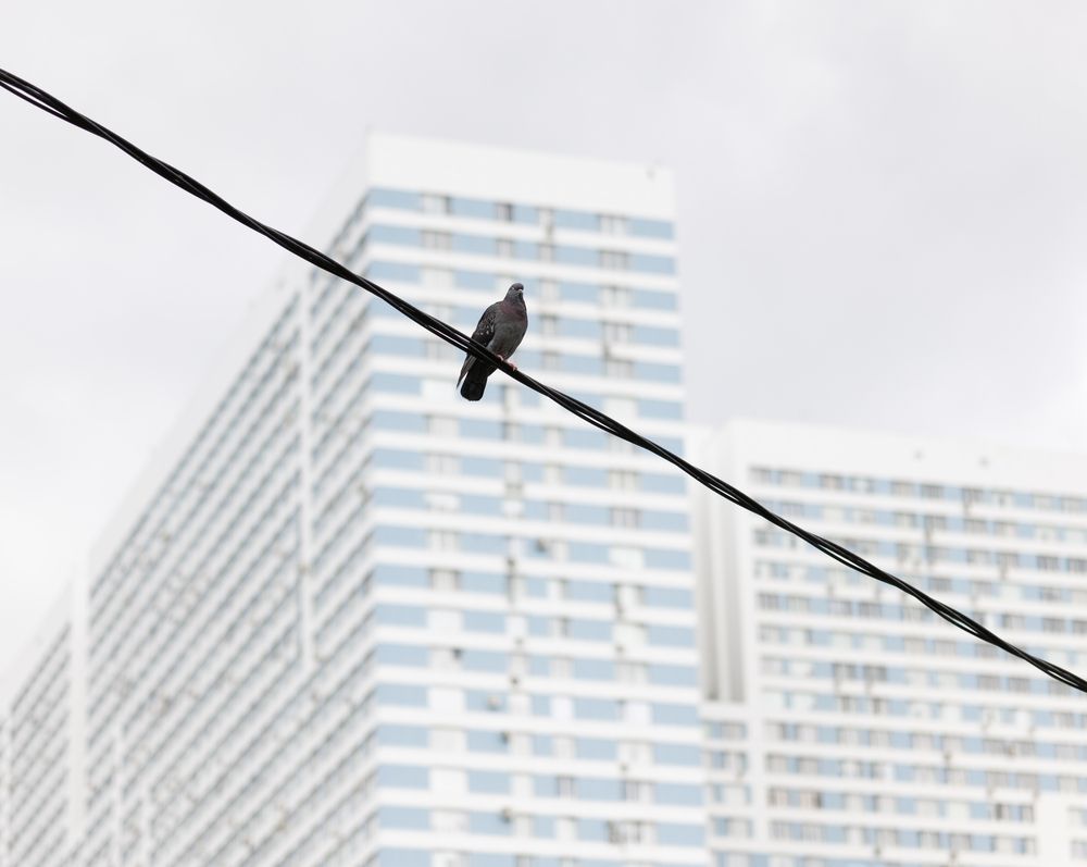 Photograph by Захаров Максим