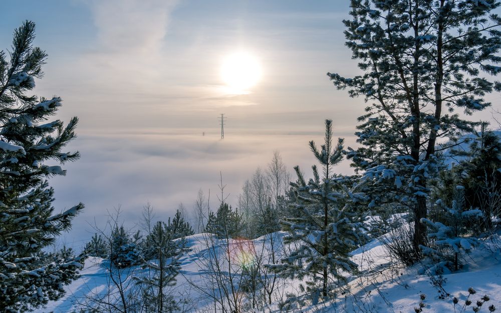 Photograph by Mark Devender