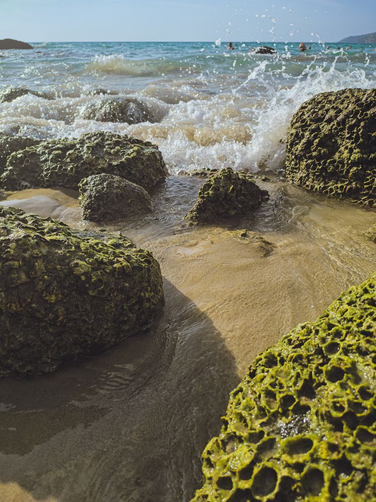 Фотография автора Юлия Подлеснова