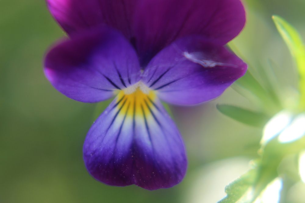 Photograph by Наталия