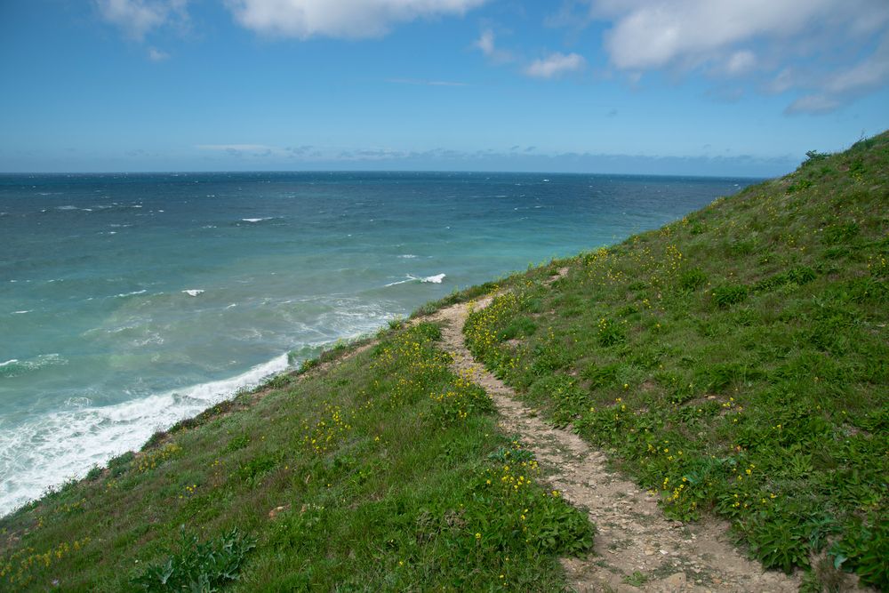 Фотография автора Вита Швец