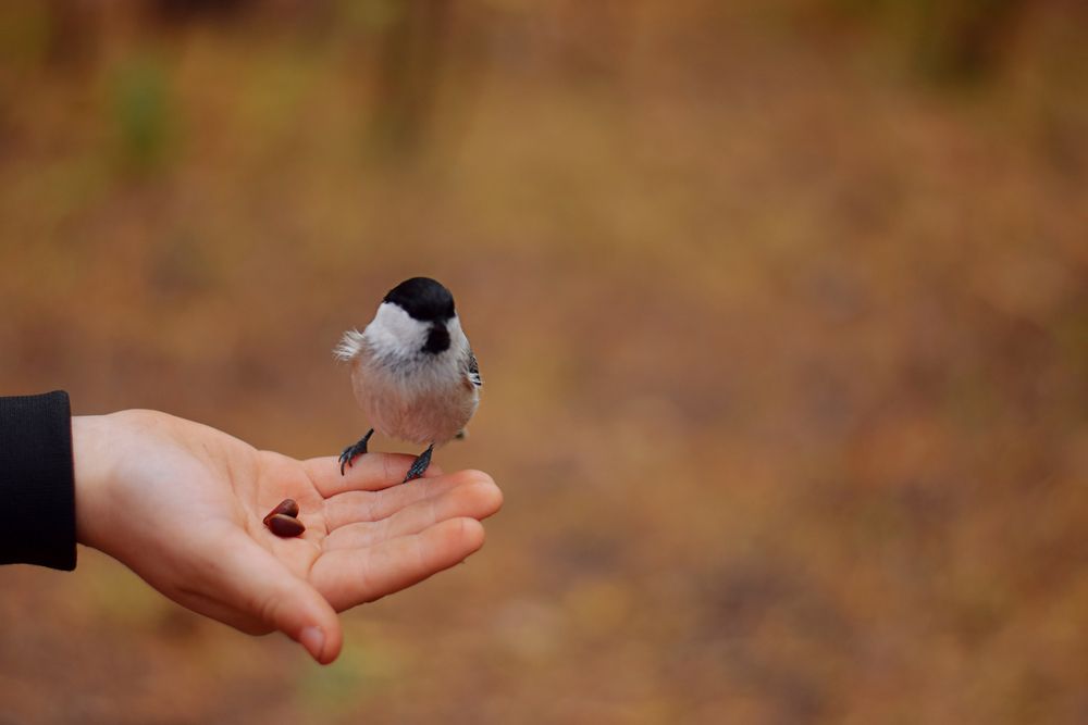 Photograph by Марина Кузьмина