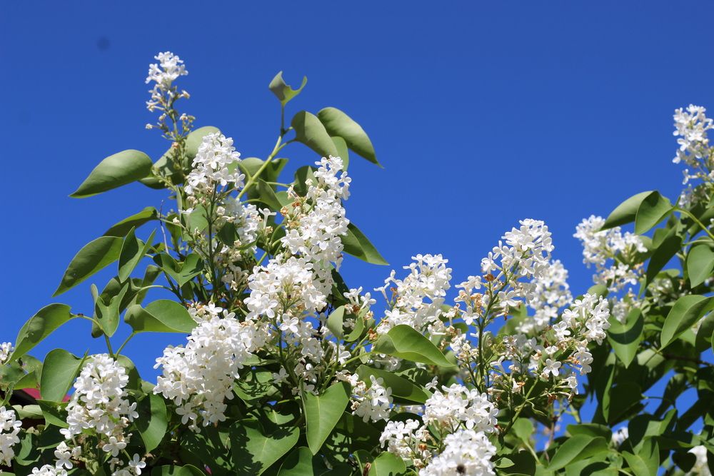 Photograph by Наталия