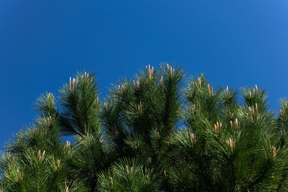 Photograph by Захаров Максим