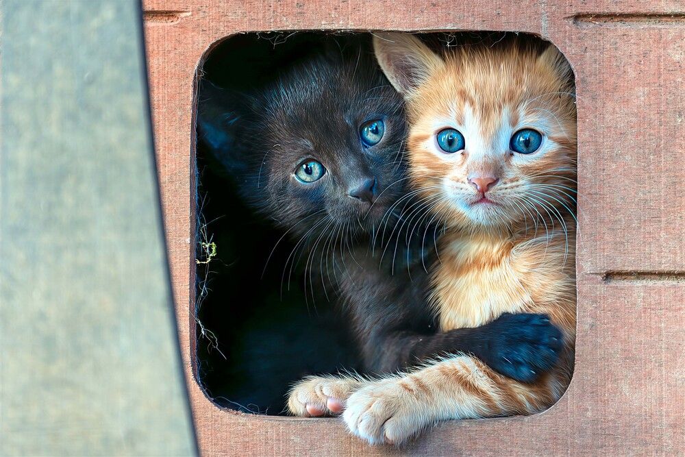 Hugging
