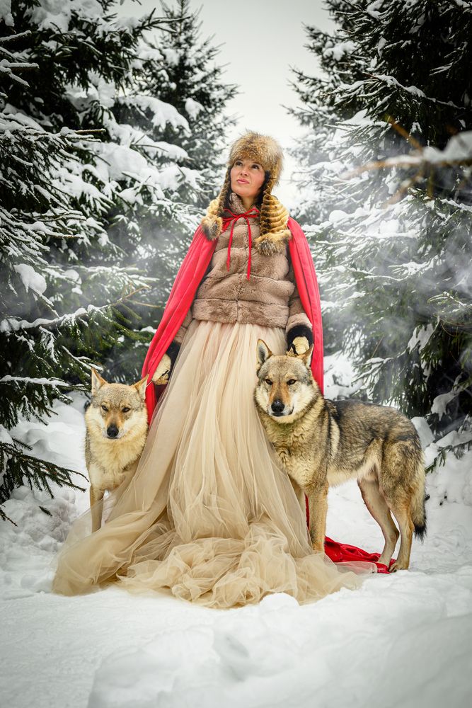 Photo #13176968