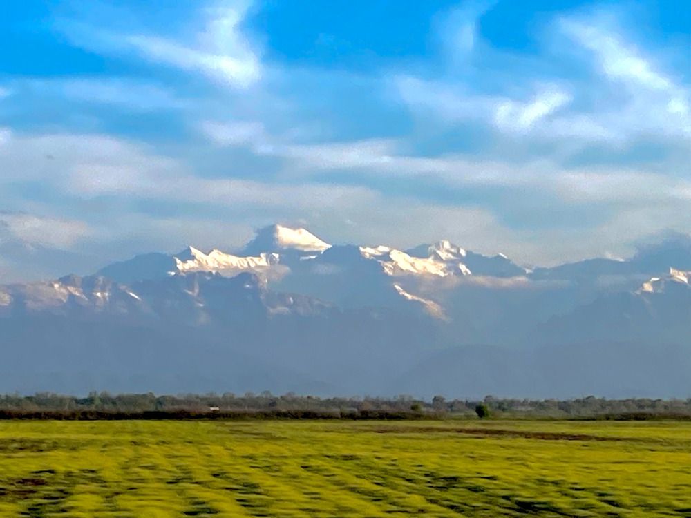 Photograph by Наталья Тарабычина