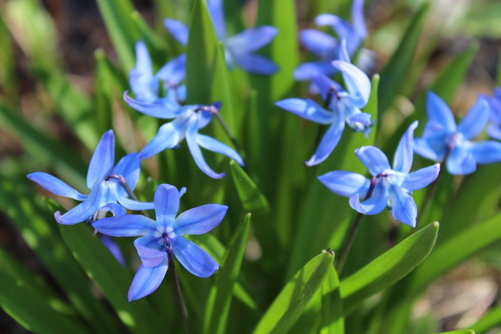 Photograph by Наталия