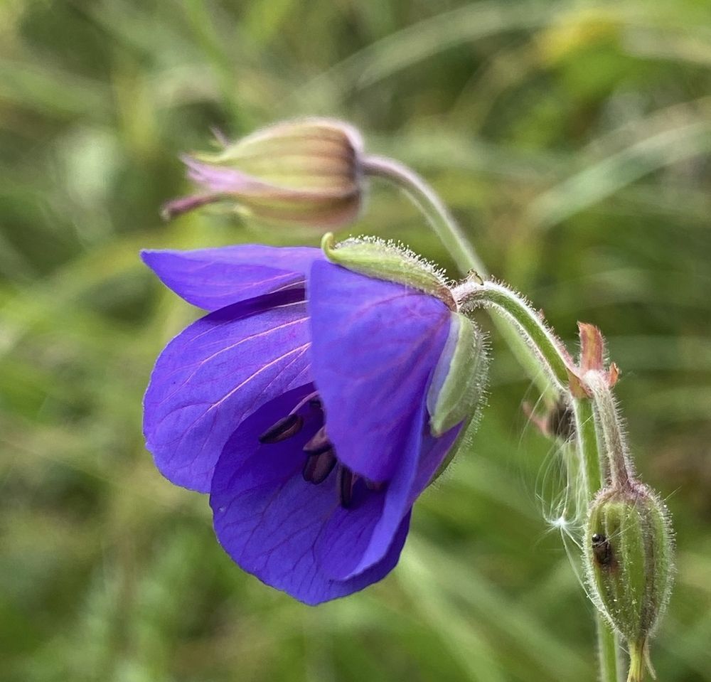 Photograph by Наталья Тарабычина