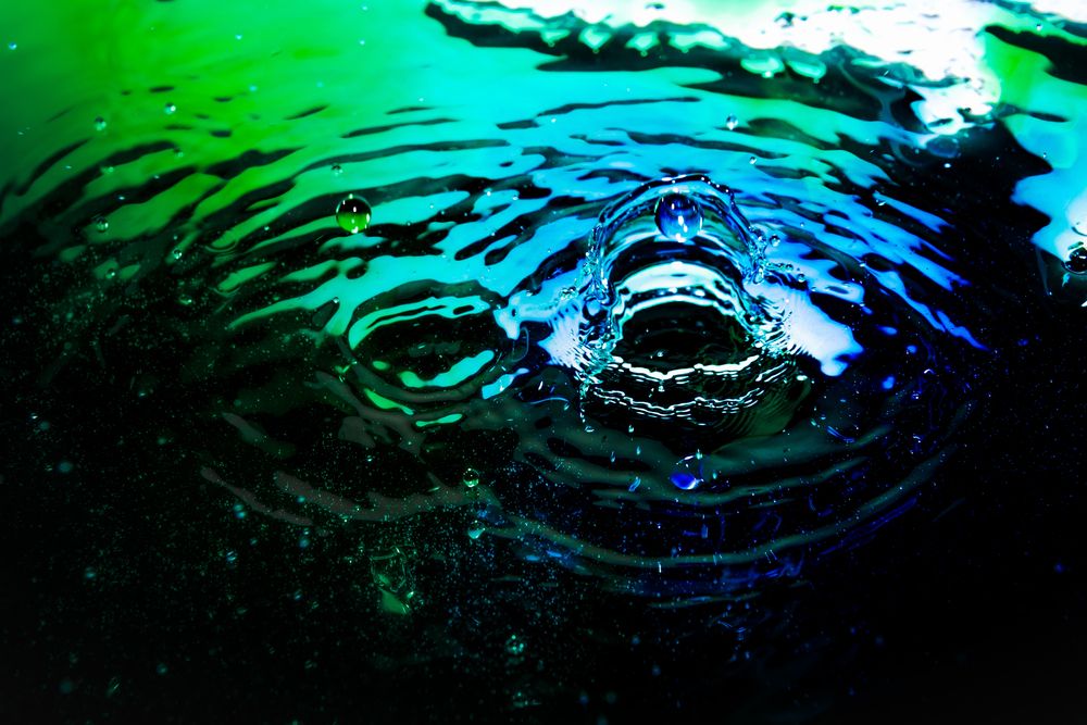 Фотография автора Павел Ващилов