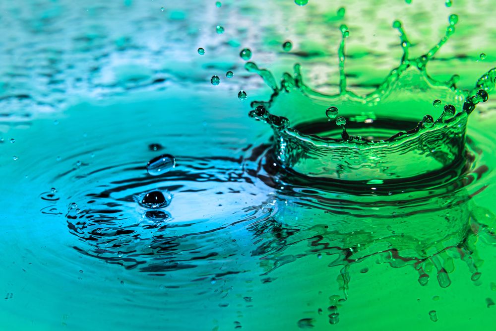 Фотография автора Павел Ващилов