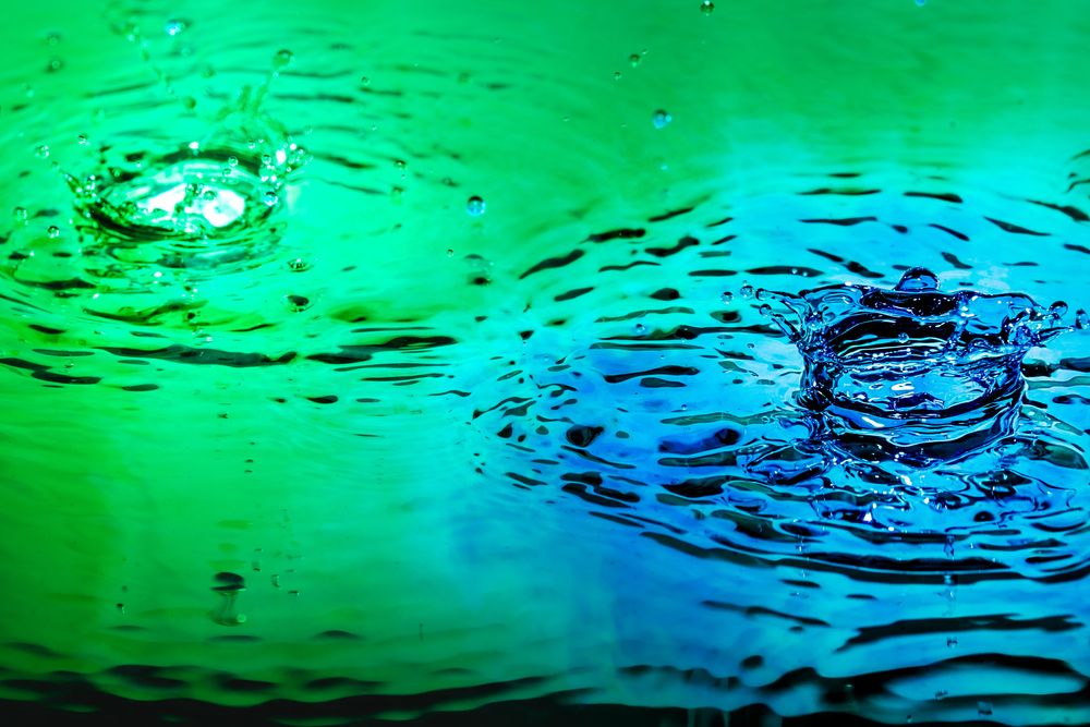 Фотография автора Павел Ващилов