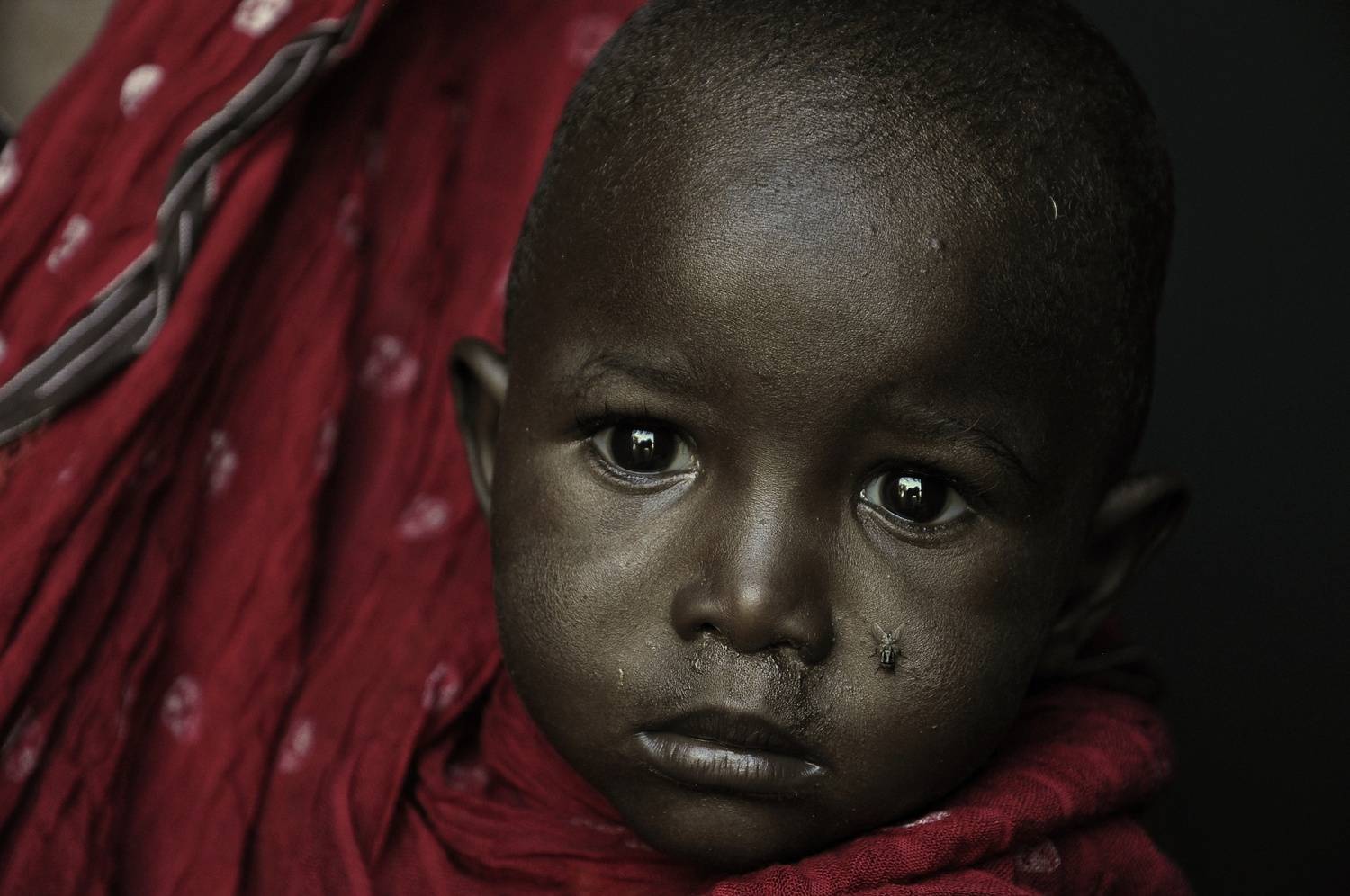 Фотография #13177000