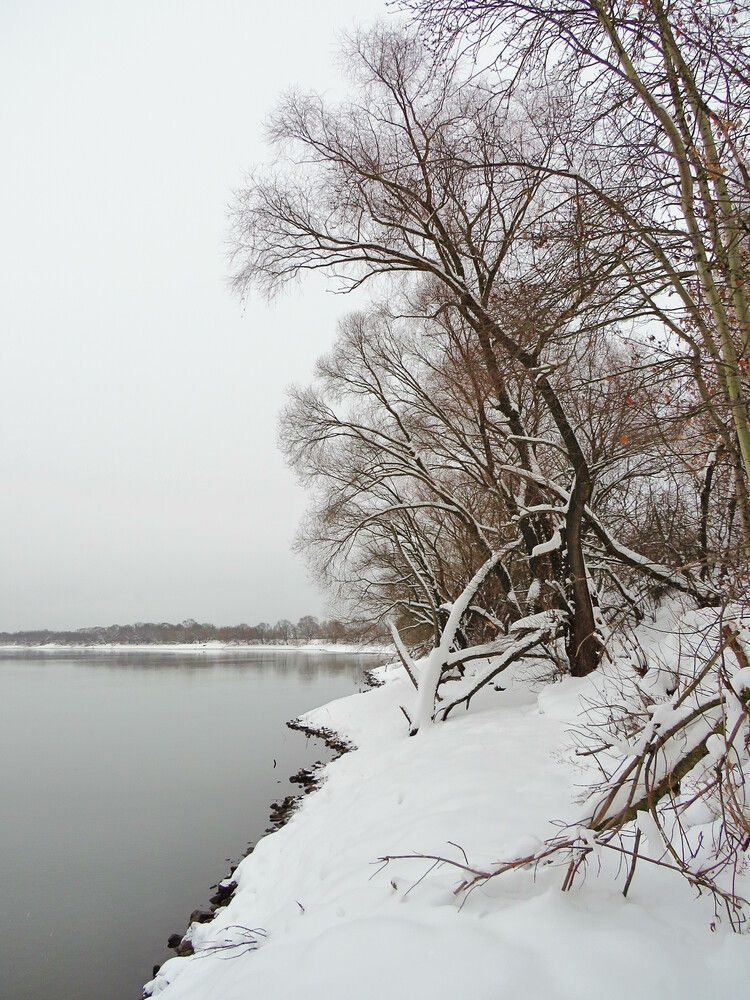 Берег под снегом