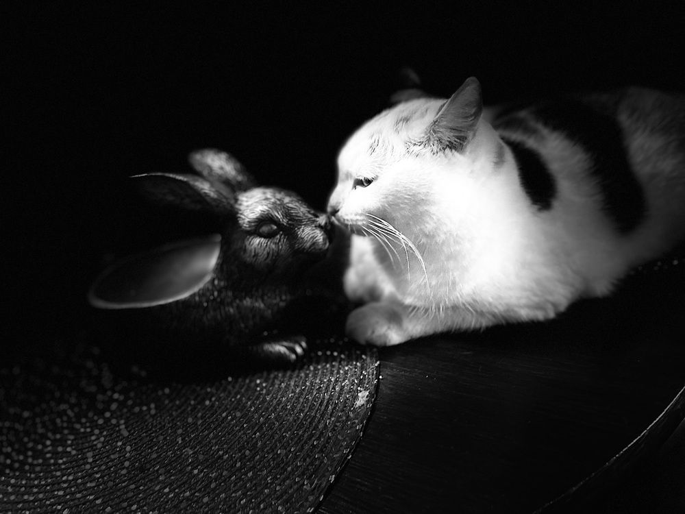 Photograph by Марина Максимова