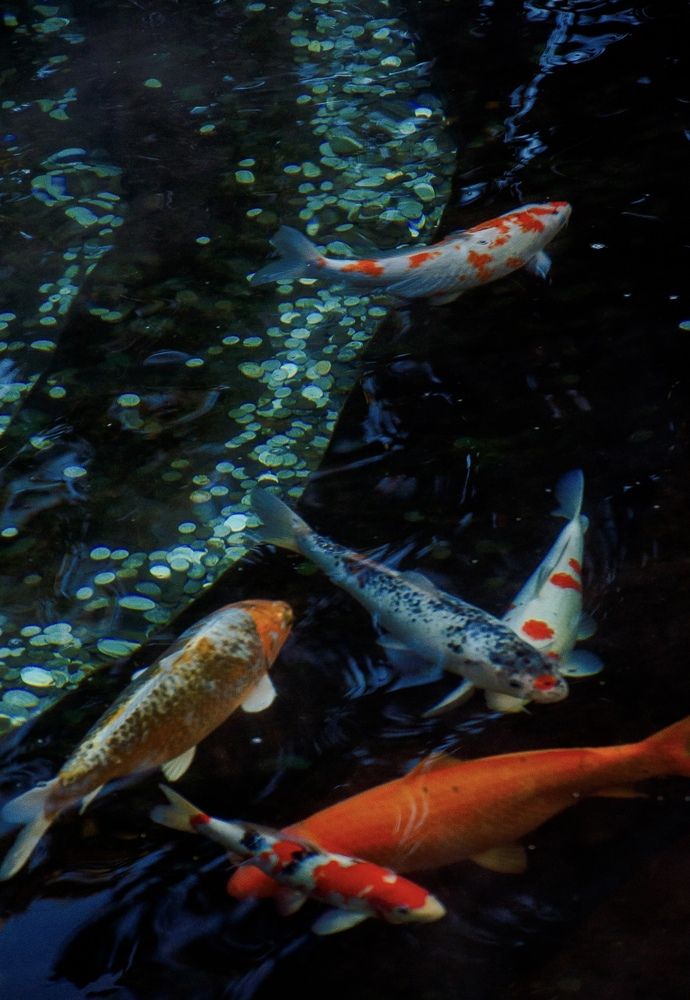 Photograph by Павел Чанышев