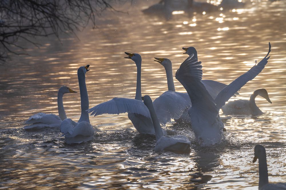 Photograph by Евгений Санин