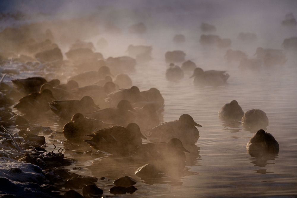 Photograph by Павел Смирнов