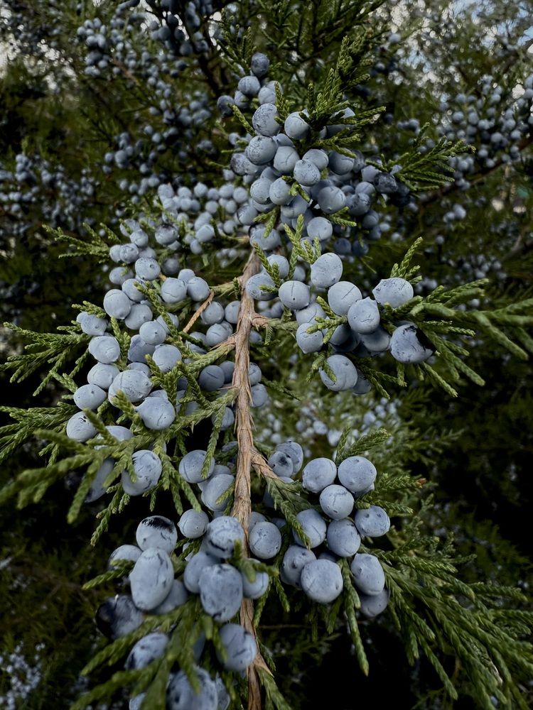 Photograph by Маргарита Лаптева