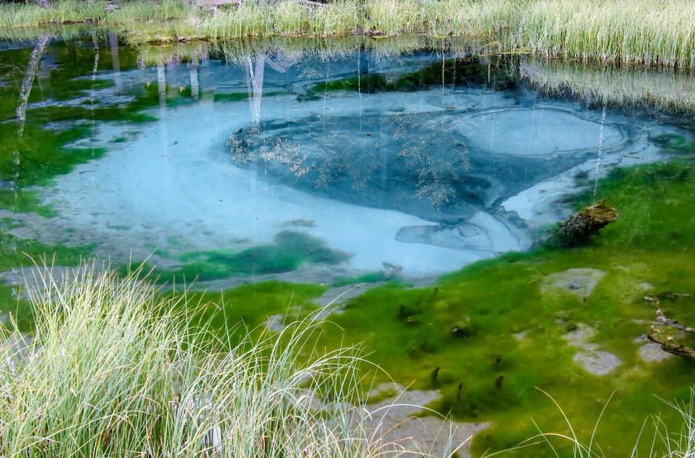 Гейзерное озеро на Алтае