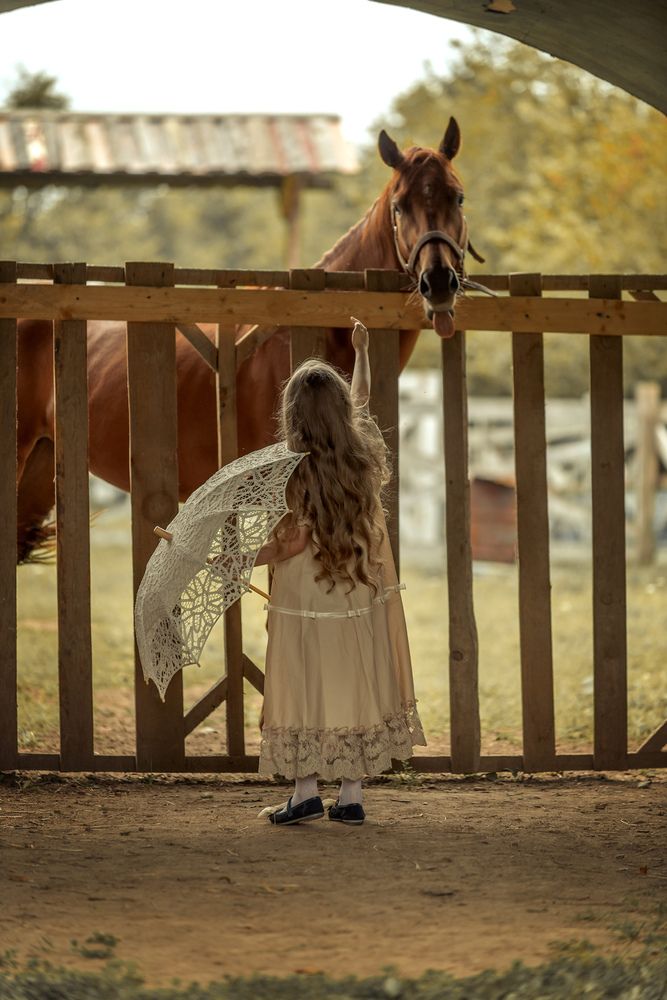 Фотография автора Владимир Никитин
