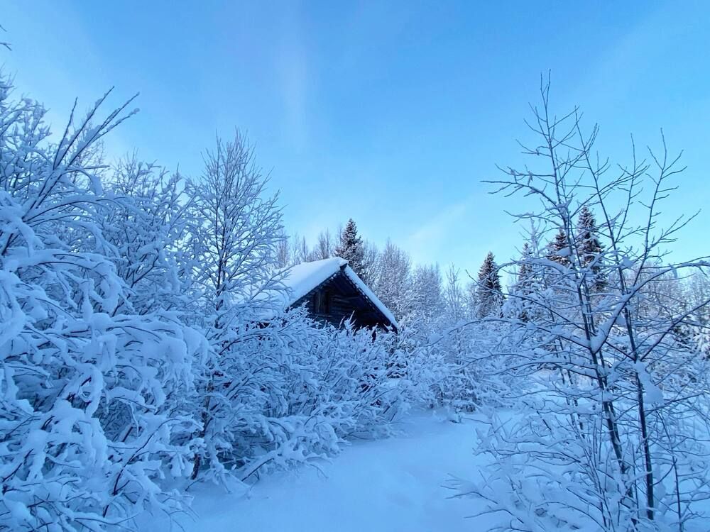 Photograph by Наталья Тарабычина