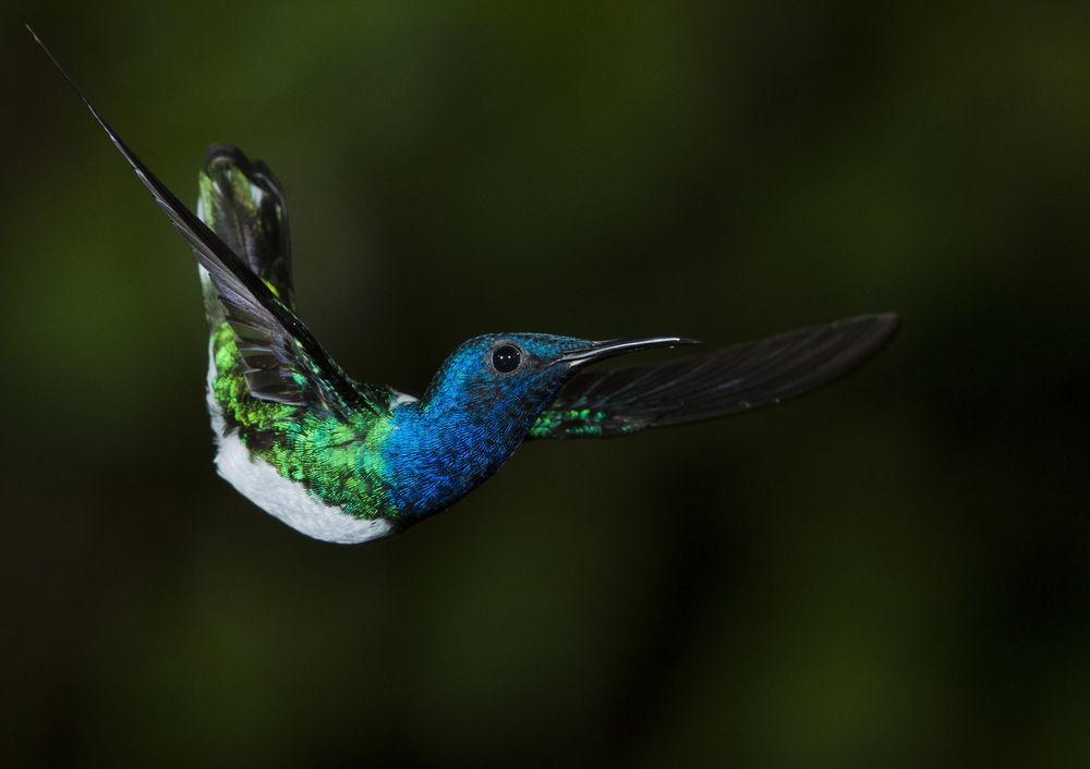 Photograph by Варвара Дронова