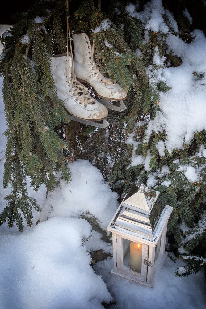 Сердце, вечность и коньки