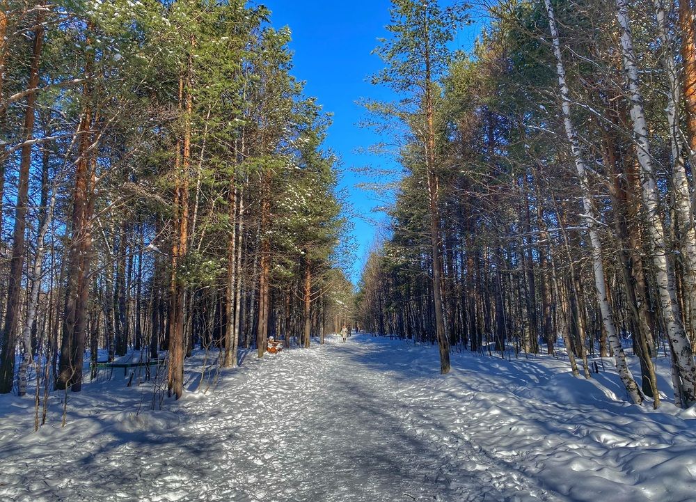 Photograph by Наталья Тарабычина