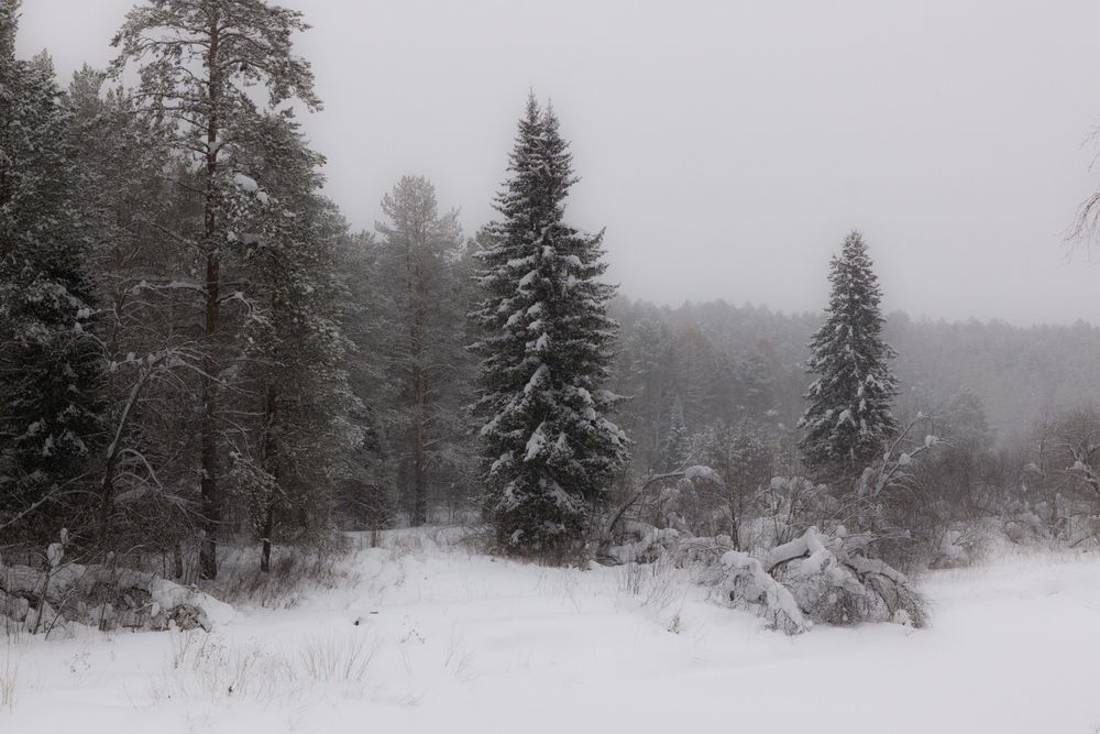 Photograph by Щепанов Дмитрий