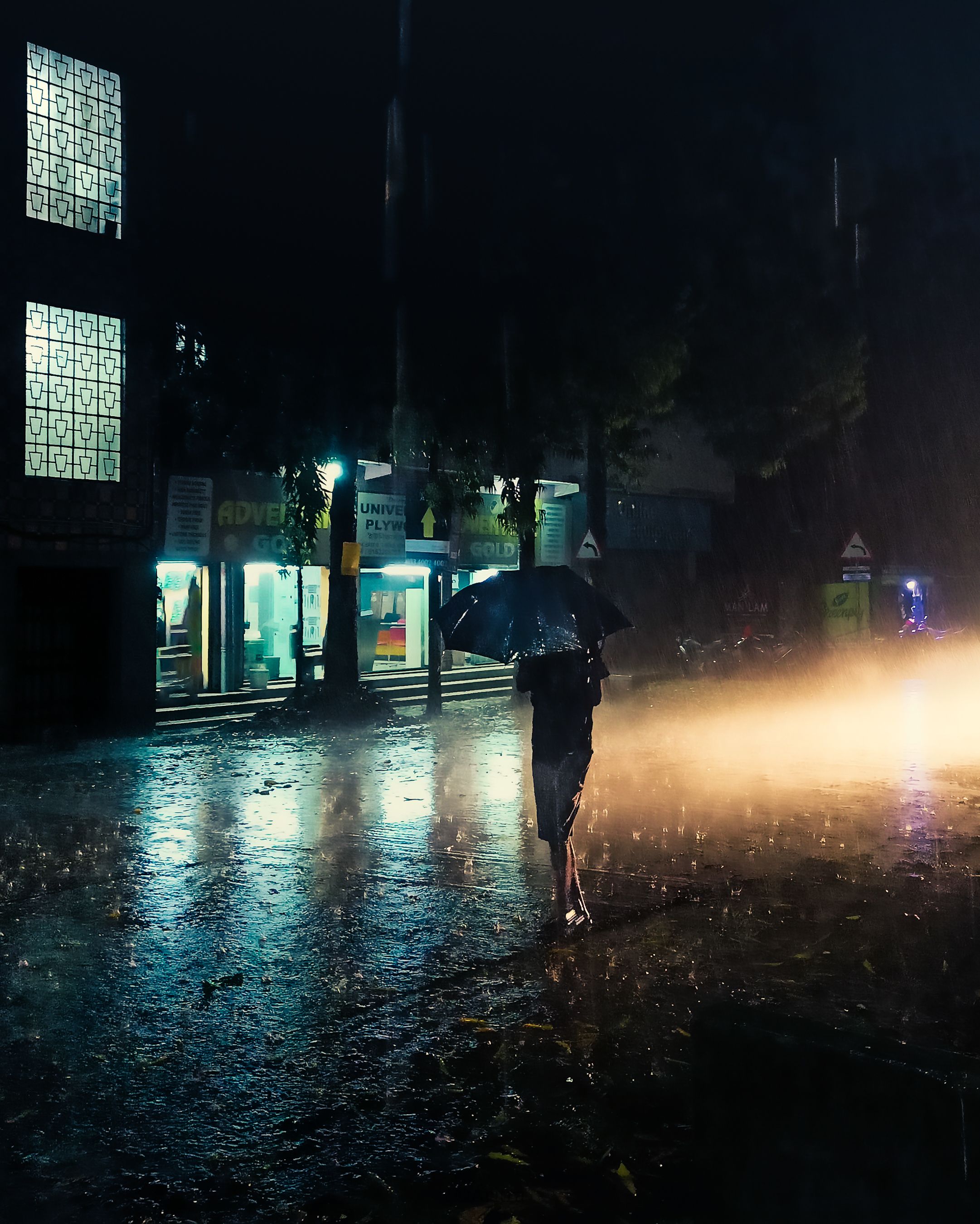 Solitude in the Rain