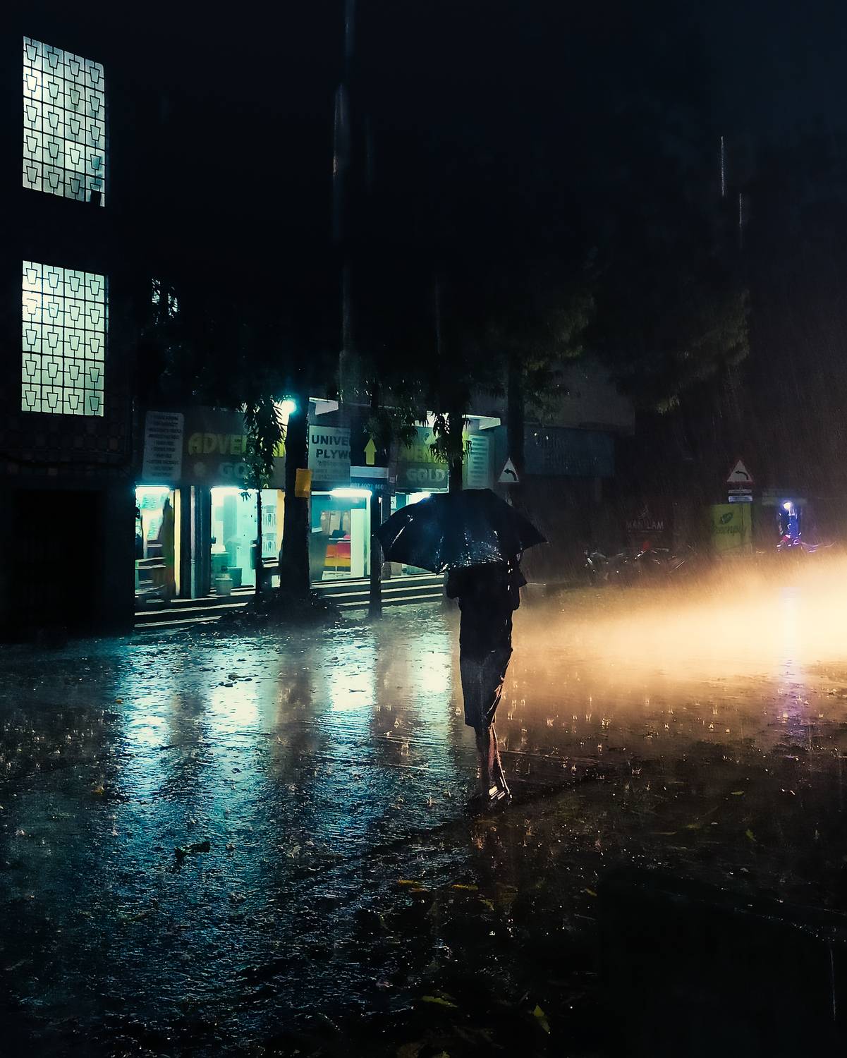 Solitude in the Rain