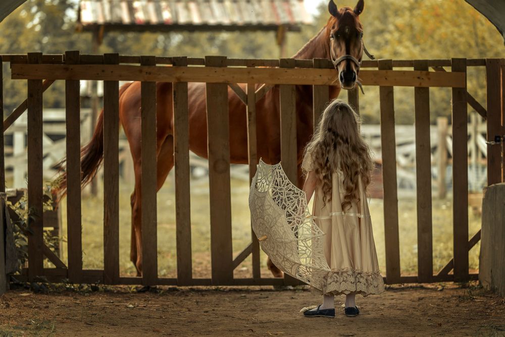 Фотография автора Владимир Никитин