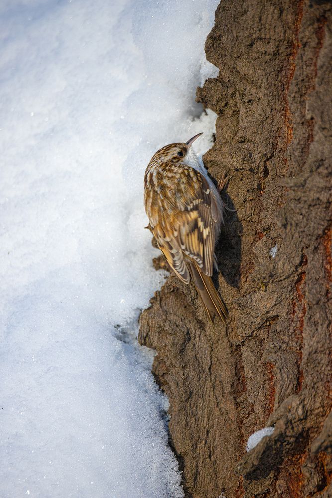 Photograph by Чудинин Дмитрий