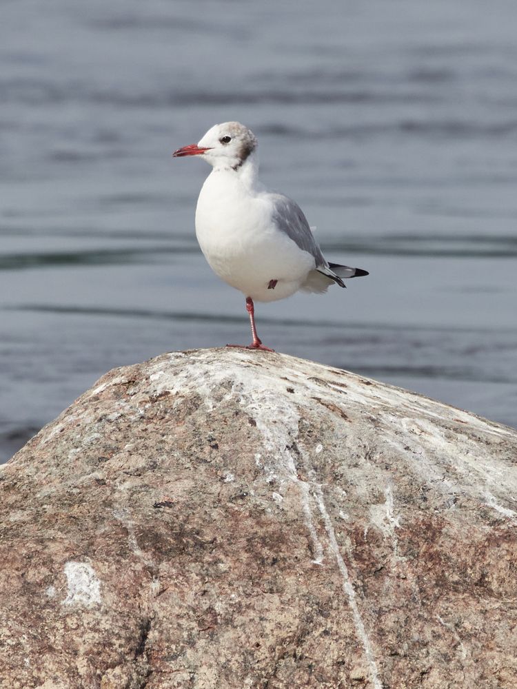 Photograph by Ivan Gorbachev