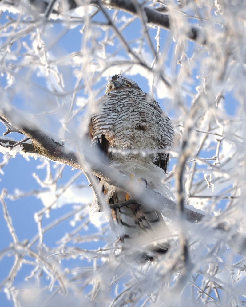 Photograph by Александр Титов