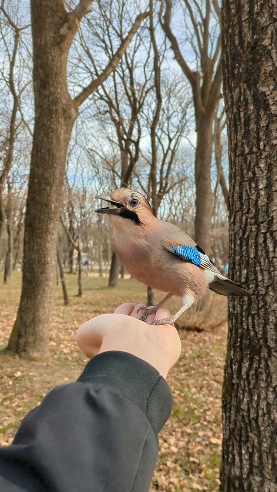 Photograph by Иван Губский