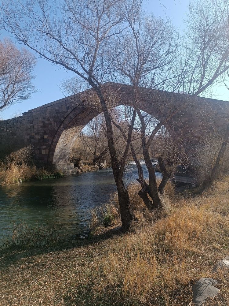 Photo #13177289