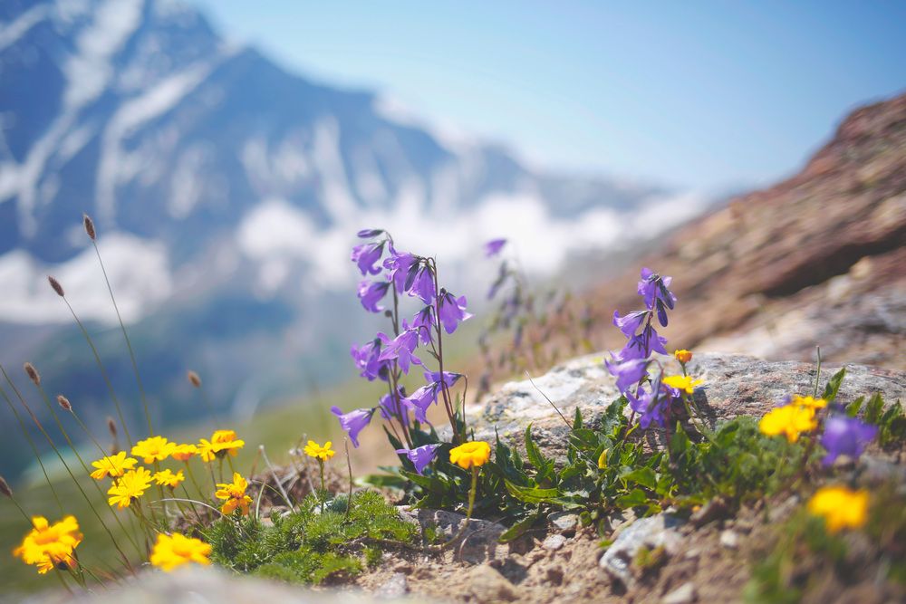 Фотография автора Ольга Слотвинская
