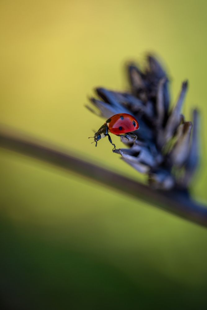 Photograph by BESPAMIATNYI Dmitry