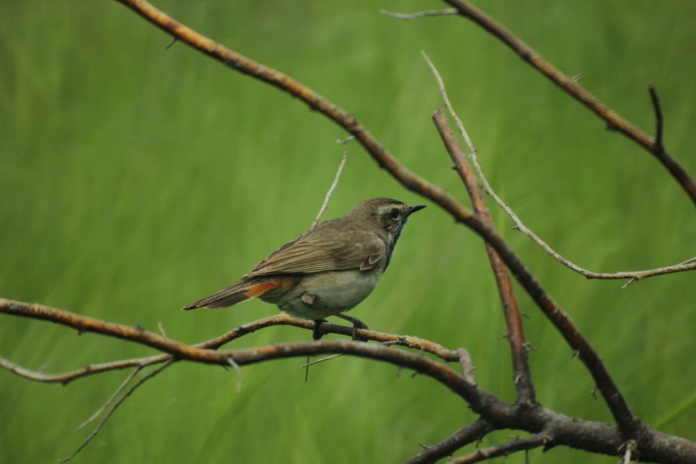 Photograph by Дмитрий Васючков