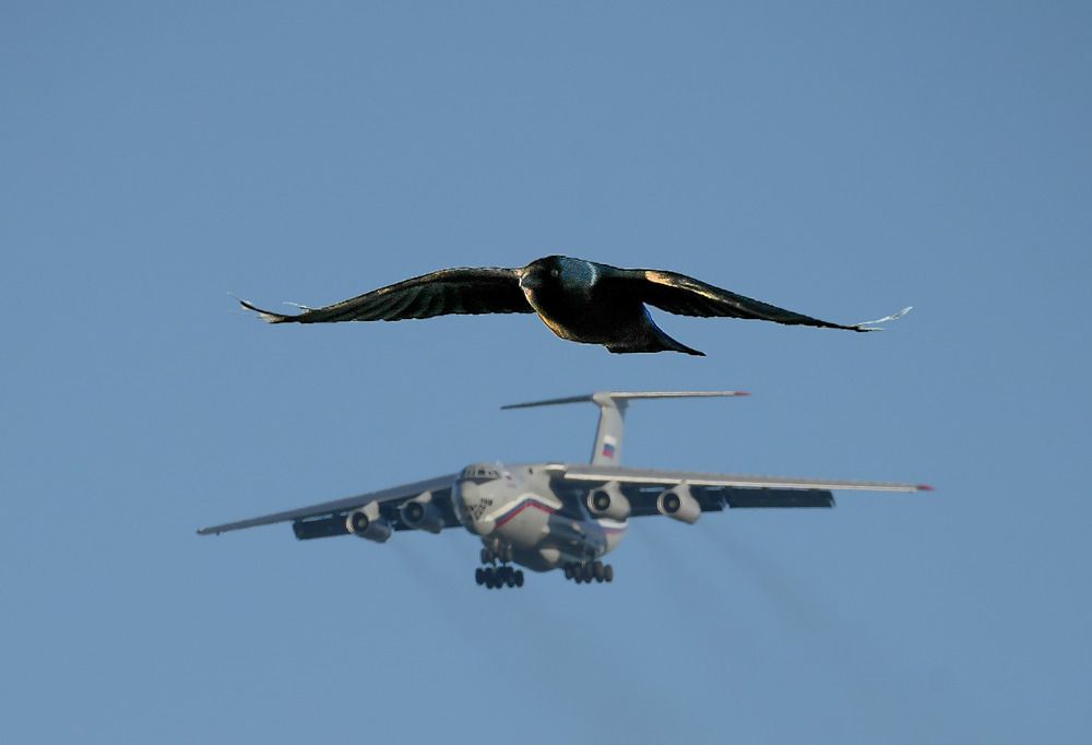 Photograph by Михаил Трусов