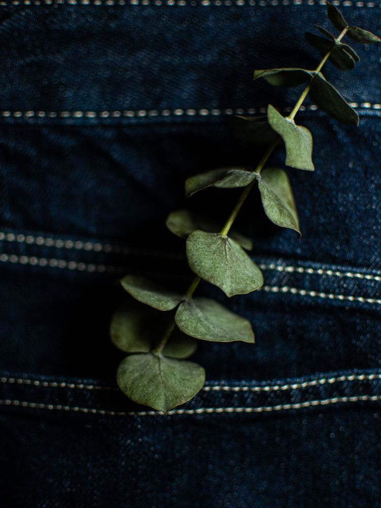 Photograph by Вера Волкова